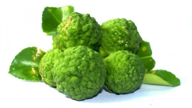 Bergamot