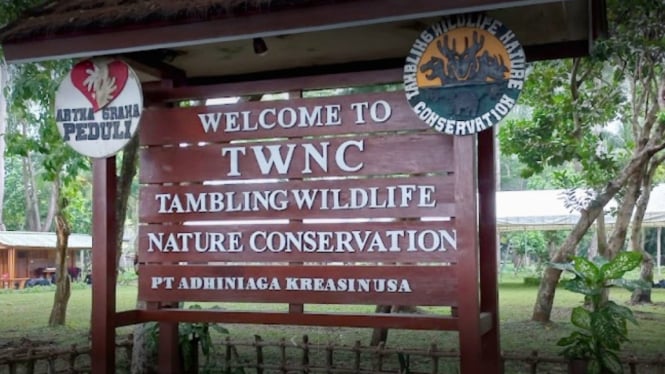Tambling Wildlife Nature Conservation (TWNC) di ujung selatan pulau Sumatera.