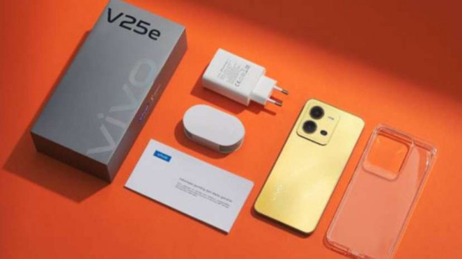 vivo V25e