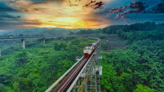 Some Interpretations of Dreaming about Train