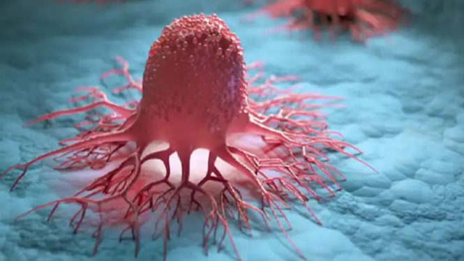 Bentuk lemah virus herpes telah dimodifikasi menyerang sel kanker
