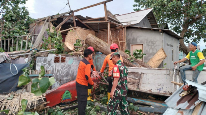 Petugas Membersihkan Sisa-sisa Puting Beliung di Lombok Timur, NTB