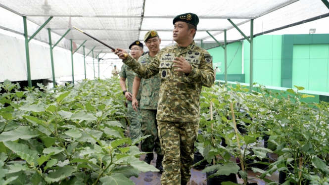 VIVA Militer: Pangkostrad tunjukan kebun sayur di atas Gedung Makostrad