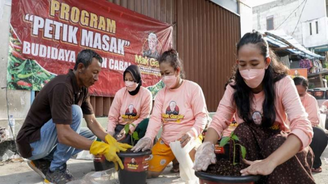 Relawan Ganjar Pranowo memberikan bantuan 400 pohon cabai ke warga