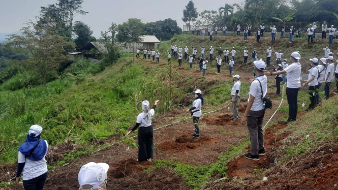 Penanaman pohon secara massal oleh PT Sucofindo bersama warga di Pamijahan, Kabupaten Bogor, Jawa Barat, Selasa 11 Oktober 2022.