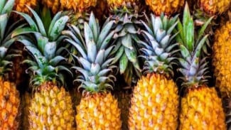 Benarkah Buah Nanas Bisa Bantu Turunkan Berat Badan? Ini Penjelasan Ahli