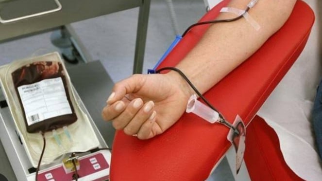 Donor darah