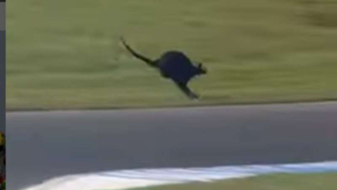 Seekor kanguru menyusup di MotoGP Australia