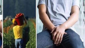 Tomat Bermanfaat untuk Cegah Kanker Prostat, Ini Penjelasan Ahli