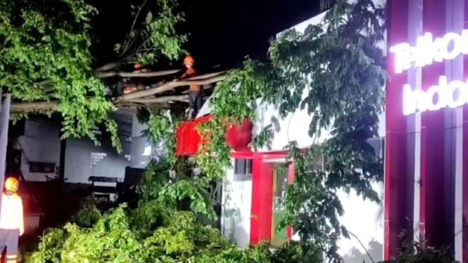 Pohon tumbang menimpa kantor Telkom Kendal, Jawa Tengah