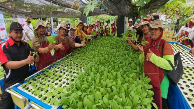 Orang Muda Ganjar (OMG) merilis program petani kota