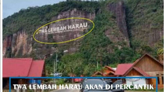 BKSDA Sumbar Mau Bikin Tulisan Besar Lembah Harau, Netizen: Buang-buang Duit!