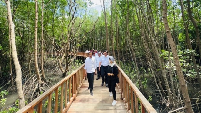 El presidente Jokowi inspecciona el Gran Parque Selvático Ngurah Rai (Tahura), Bali