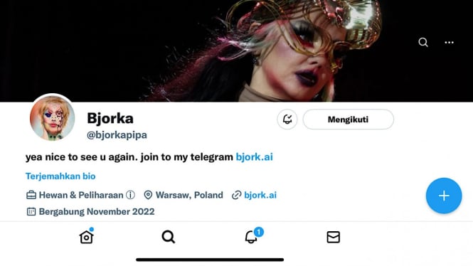 Akun Twitter baru Bjorka, @bjorkapipa.