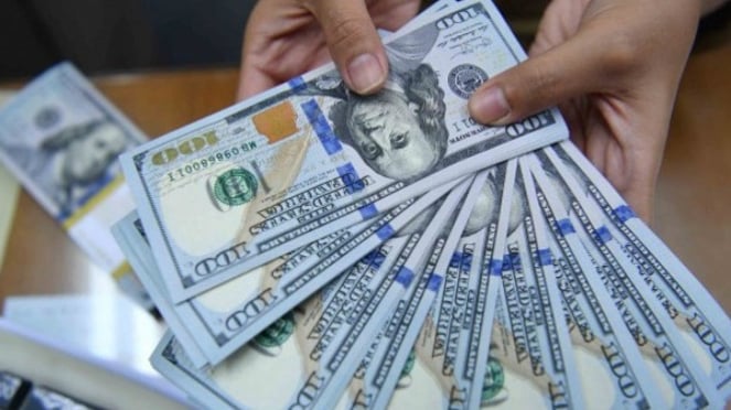 ilustrasi  uang dolar