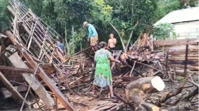 Pohon tua tumbang usai diguyur hujan serta angin kencang di Jawa Tengah
