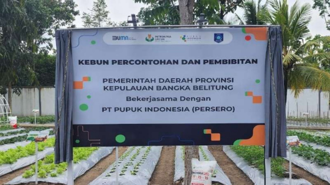 Kebun Percontohan  dan Pembibitan Pupuk Indonesia di Babel.