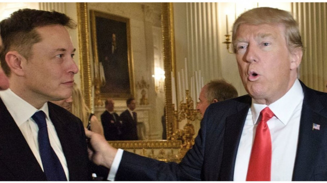 CEO de Twitter Elon Musk y Donald Trump.