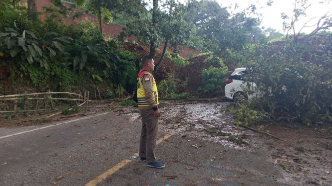 Pohon tumbang di Jalan Nasional Cianjur.
