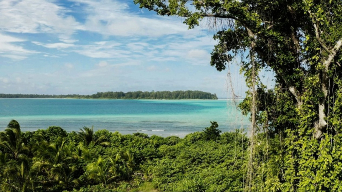 Kepulauan Widi, Maluku Utara, dilelang di situs asing