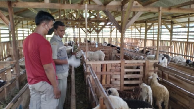 Un criador de cabras en Bogor