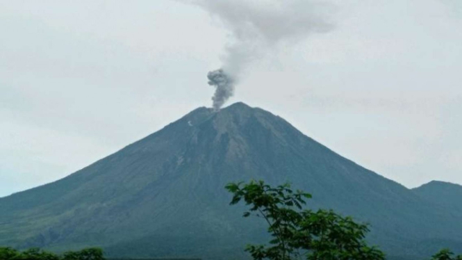 Gunung Semeru di Jawa Timur erupsi melontarkan kolom abu setinggi lebih lebih kurang 500 meter pada pukul 07:02 WIB, Jumat, 25 November 2022.