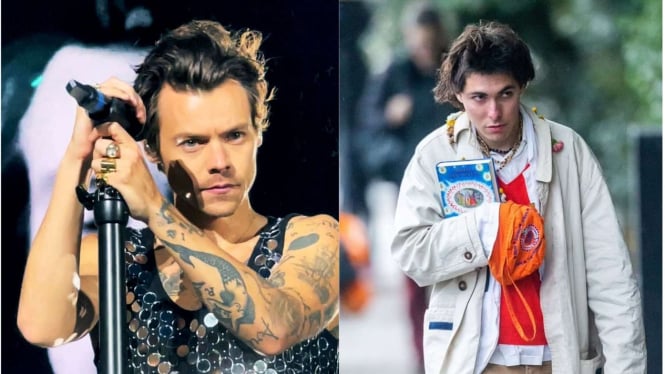 Harry Styles dan penguntitnya, Diana Tarazaga-Orero