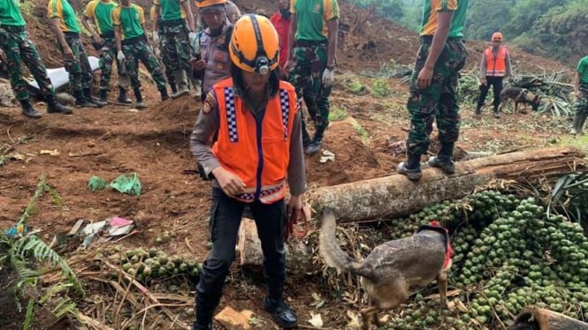 Polwan K9 dikerahkan mencari korban gempa di Cianjur