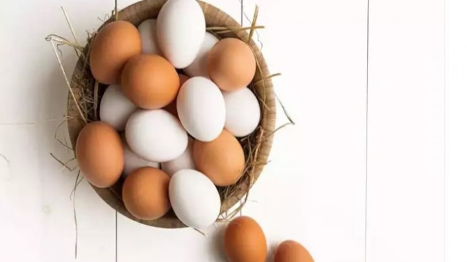 Telur berkulit cokelat dan putih