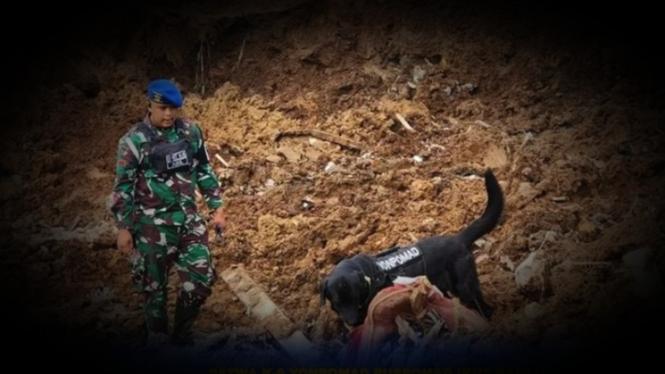 VIVA Militer: K9 Yonpmad Puspomad TNI temukan korban.