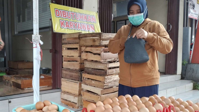Harga telur naik di Semarang, Jawa Tengah. (ilustrasi)