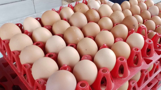 Harga telur naik di Semarang, Jawa Tengah.