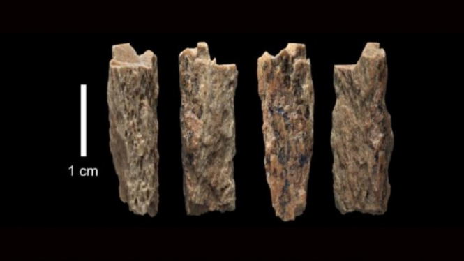 Kerangka gadis yang meninggal lebih dari 50.000 tahun yang lalu.
