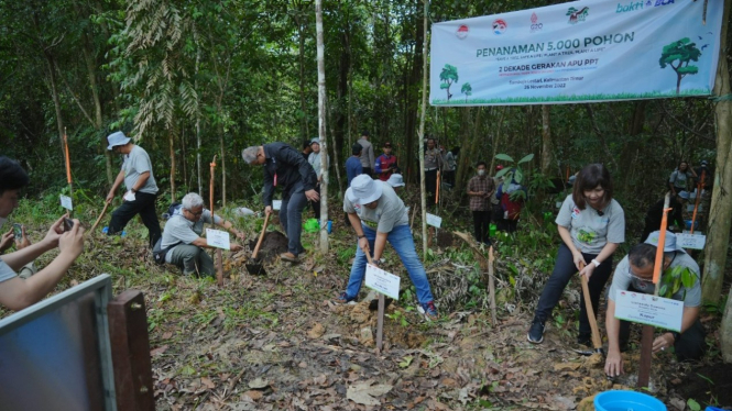 Rehabilitasi lahan konservasi orangutan di Kalimantan Timur.