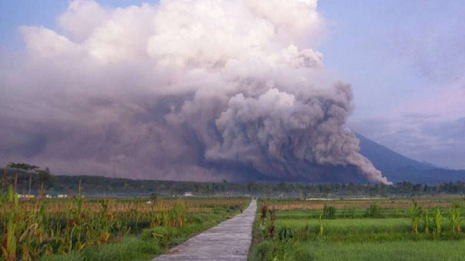 Erupsi Gunung Semeru di Kabupaten Lumajang, Jawa Timur, Minggu, 4 Desember 2022
