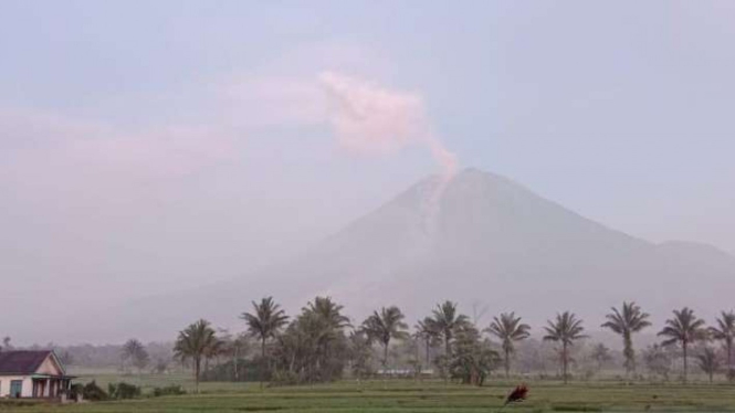 Gunung Semeru masih mengalami erupsi yang terlihat dari Desa Sumberwuluh.