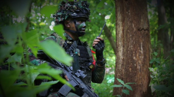VIVA Militer: Pasukan Yonif Para Raider 501/Bajra Yudha latihan juntis di Tuban.