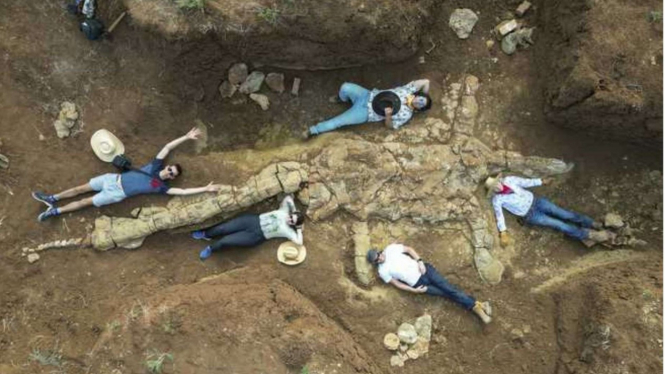 Fosil Plesiosaurus berusia 100 juta tahun.