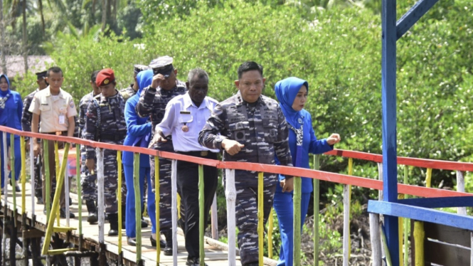 VIVA Militer: Pangkoarmada III tinjau Mangrove di Desa Katinim Kabupaten Sorong