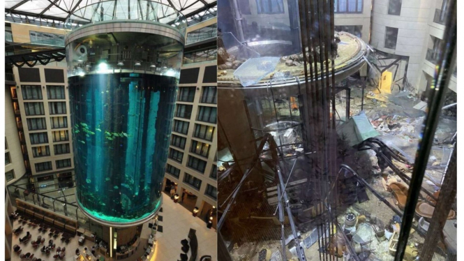 Aquarium Silinder Terbesar di Dunia Pecah, Ribuan Ikan Eksotis Mati 