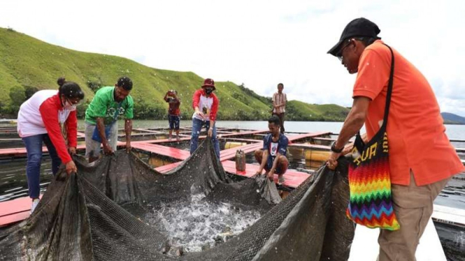 Pemuda Papua diajarkan budidaya ikan