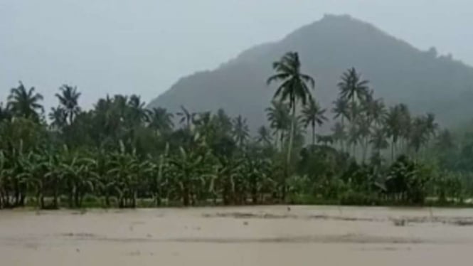 Areal persawahan yang terendam air akibat luapan aliran sungai dan irigasi seiring tingginya intensitas hujan di Kecamatan Lembar, Kabupaten Lombok Barat, Nusa Tenggara Barat, Minggu, 25 Desember 2022.