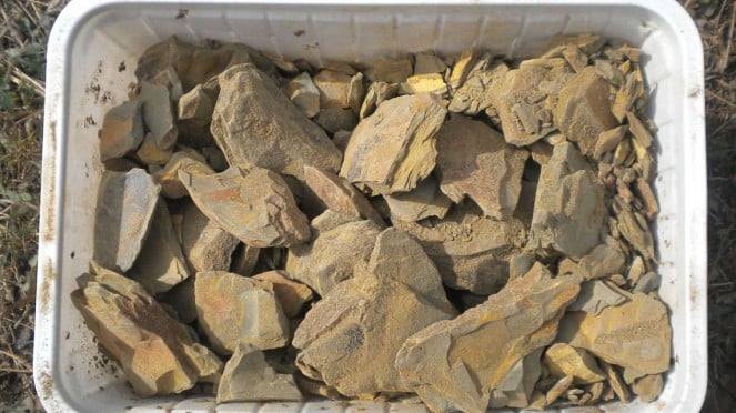 Mengenal Multani Mitti, Tanah Liat dengan Sederet Manfaat untuk Kecantikan
