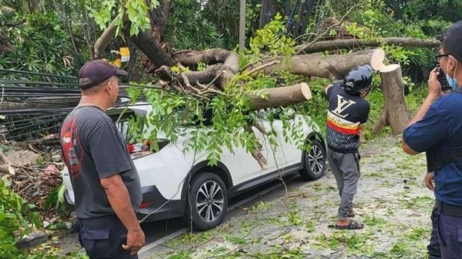 Bmkg Sebut Angin Kencang Porak Porandakan Bali Pengaruh Siklon Tropis Ellie