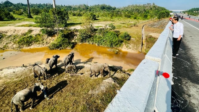 Presiden Jokowi cek terowongan Gajah di atas Tol Pekanbaru-Dumai