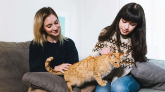 Mengetahui Pet Psychic, Profesi yang Bisa ‘Bicara’ dengan Binatang