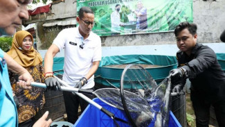 Program 'Juragan Lele Lalap' Sandiaga Buat Pemuda Ingin Jadi Pengusaha