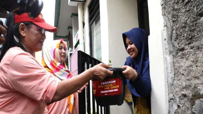 Relawan Mak Ganjar membagikan 500 pohon cabai ke warga