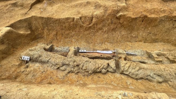 Arkeolog temukan pedang yang digunakan melindungi mayat dari roh jahat.