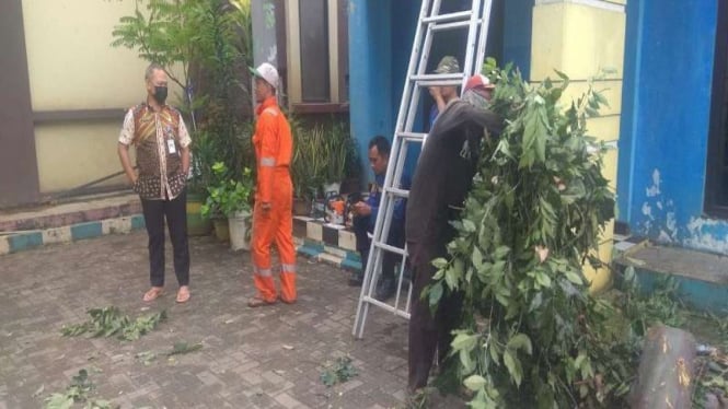 Petugas evakuasi pohon tumbang di kantor Kelurahan Uwung Jaya, Kota Tangerang.